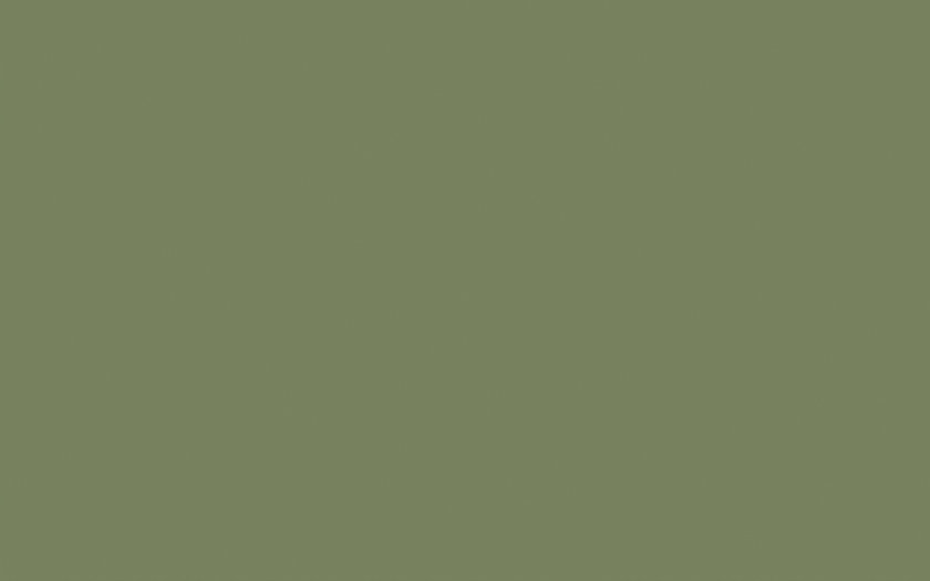 Little Greene Verf Sage  Green  80 Luxury By Nature