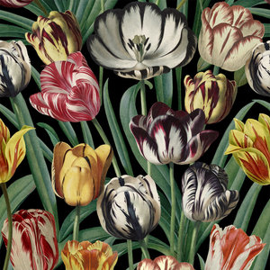 Mind The Gap Tulipa Behang Tulpen Behang Luxury By Nature